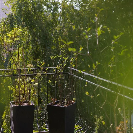 Miodowa 25 Διαμέρισμα 3*